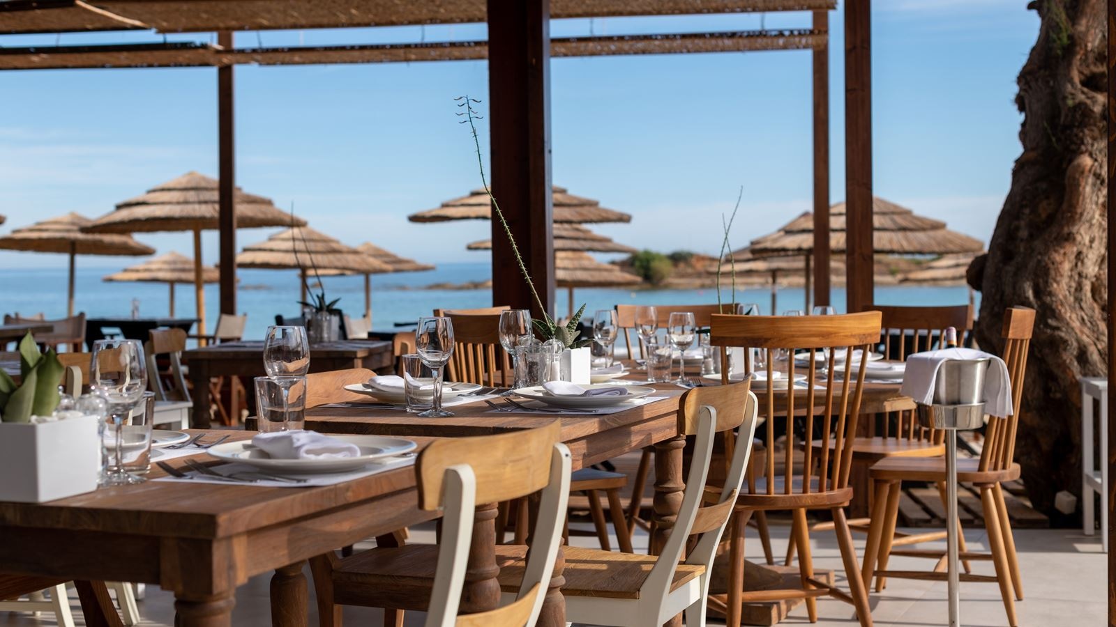 restaurants-elia-a-la-carte-restaurant