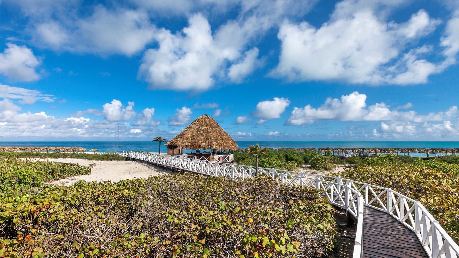 bars-bar-playa