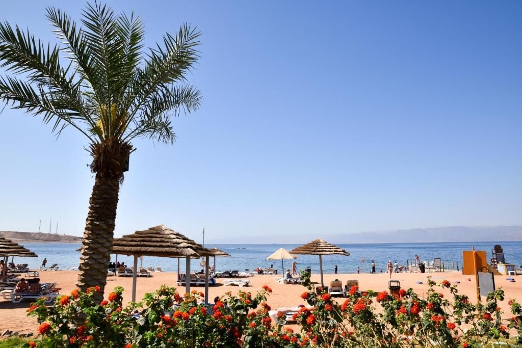 beach-beach