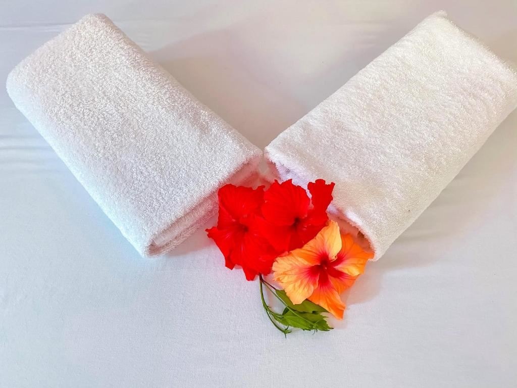 rooms-standard-double-or-twin