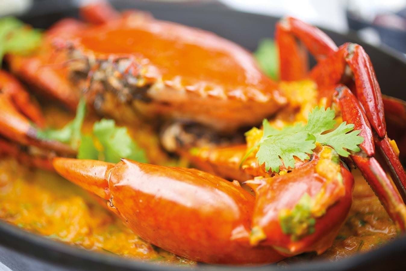 bars-deer-hunter-bar