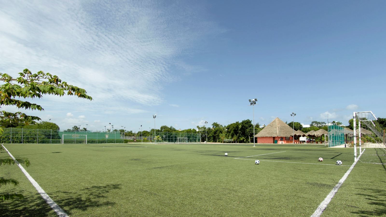 sport-sport