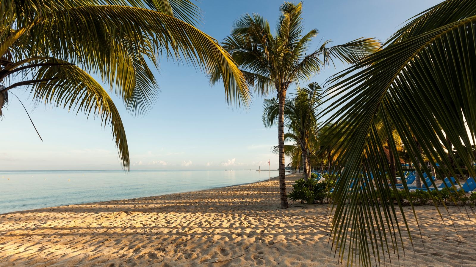 beach-beach