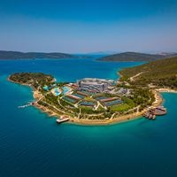 Informații generale preview