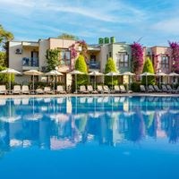 Informații generale preview