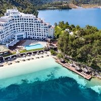 Informații generale preview