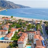 Informații generale preview