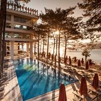 Informații generale preview