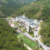Informații generale preview