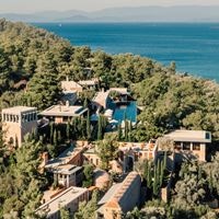 Informații generale preview