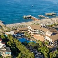 Informații generale preview