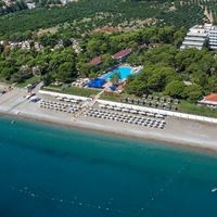 Informații generale preview