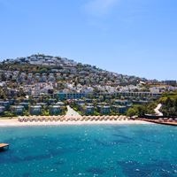 Informații generale preview