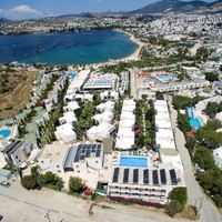 Informații generale preview