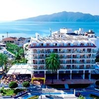 Informații generale preview