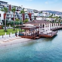 Informații generale preview