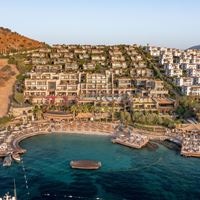 Informații generale preview