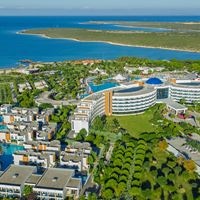 Informații generale preview