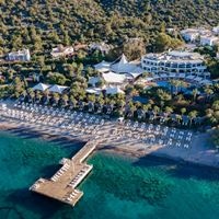 Informații generale preview