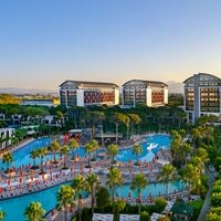 Informații generale preview