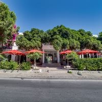 Informații generale preview