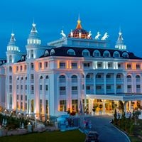 Informații generale preview