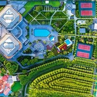 Informații generale preview