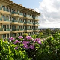 Informații generale preview