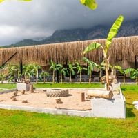 Informații generale preview