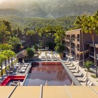 Informații generale preview