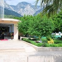 Informații generale preview