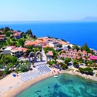 Informații generale preview