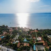 Informații generale preview