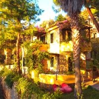 Informații generale preview