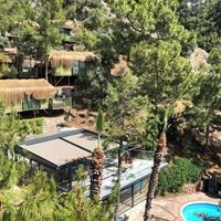 Informații generale preview