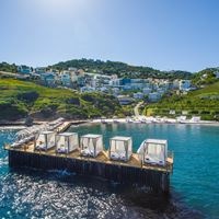 Informații generale preview