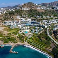 Informații generale preview