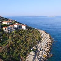 Informații generale preview