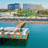 Informații generale preview