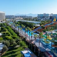 Informații generale preview