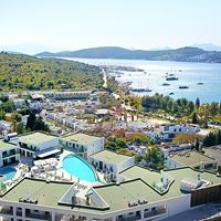 Informații generale preview