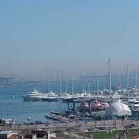 Informații generale preview