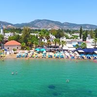 Informații generale preview