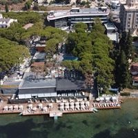 Informații generale preview