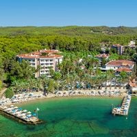 Informații generale preview