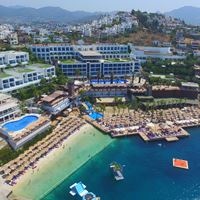 Informații generale preview