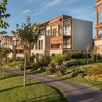 Informații generale preview