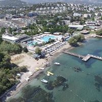 Informații generale preview