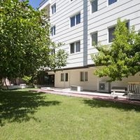 Informații generale preview