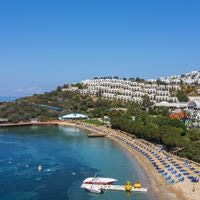 Informații generale preview